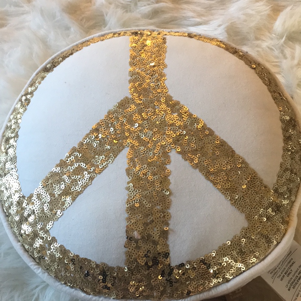 Pottery barn teen pillow cover